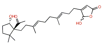 Acantholide D